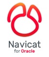 Navicat Oracle Standard